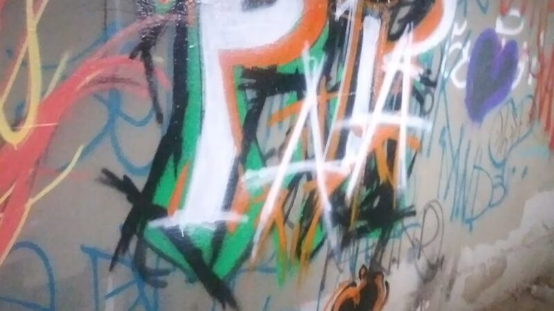 Woody Hampton Park - Sacramento, CA