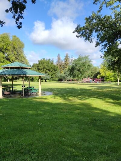 Bohemian Park - Sacramento, CA