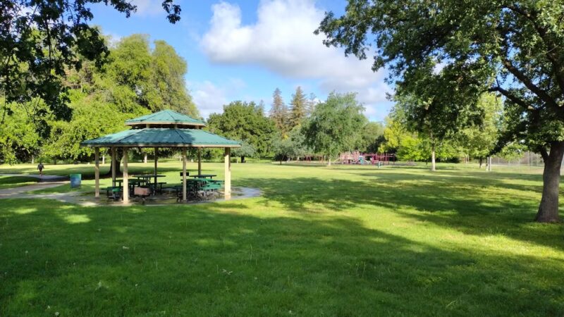 Bohemian Park - Sacramento, CA