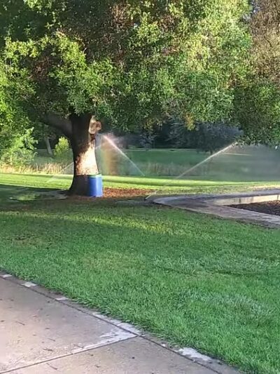 Bohemian Park - Sacramento, CA