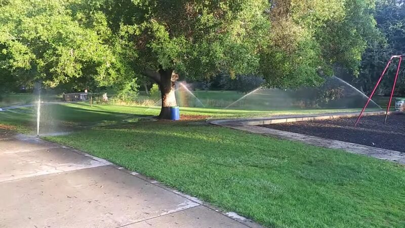 Bohemian Park - Sacramento, CA