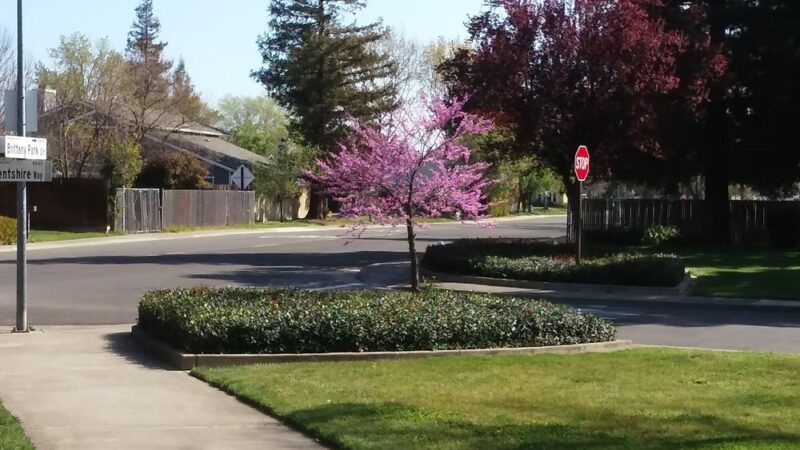 Brittany Park - Sacramento, CA