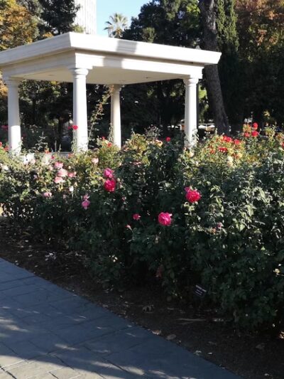 California State Capitol Park - Sacramento, CA