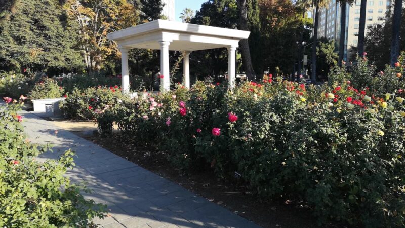California State Capitol Park - Sacramento, CA