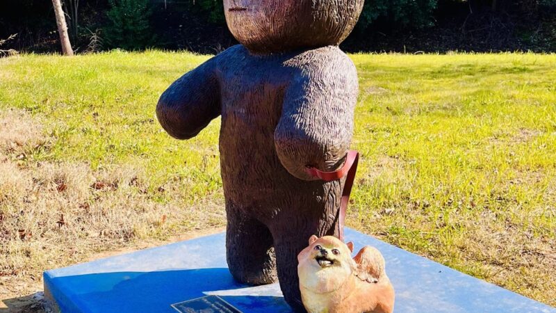 Charlie-Jensen Park - Sacramento, CA