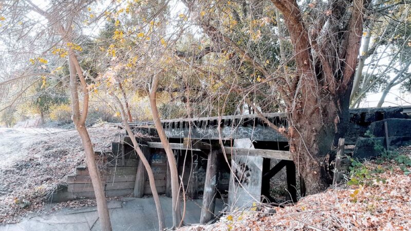 Charlie-Jensen Park - Sacramento, CA