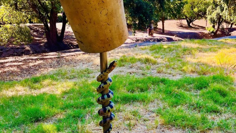 Charlie-Jensen Park - Sacramento, CA