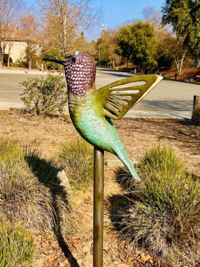 Charlie-Jensen Park - Sacramento, CA