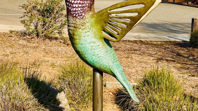 Charlie-Jensen Park - Sacramento, CA