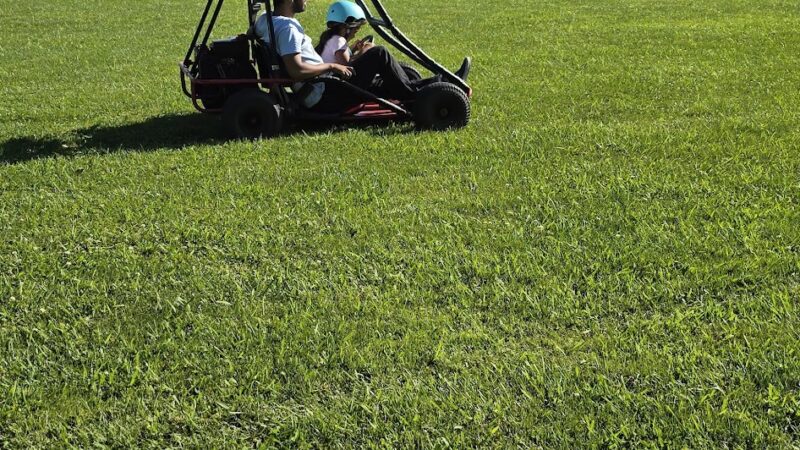 Chorley Park Disc Golf Course - Sacramento, CA