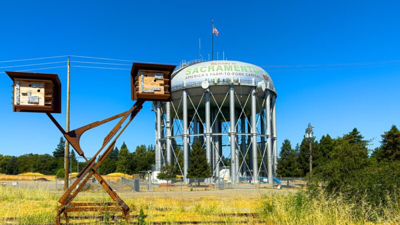 Del Rio Trail - Sacramento, CA