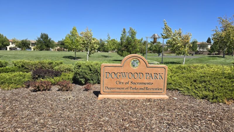 Dogwood Park - Sacramento, CA