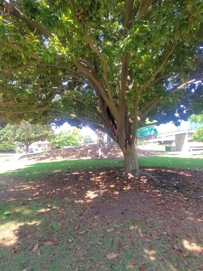 Frank Seymour Park - Sacramento, CA