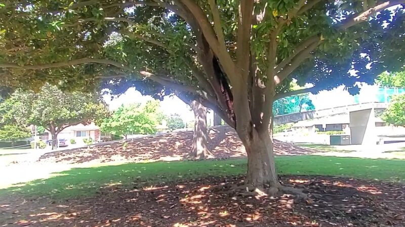 Frank Seymour Park - Sacramento, CA