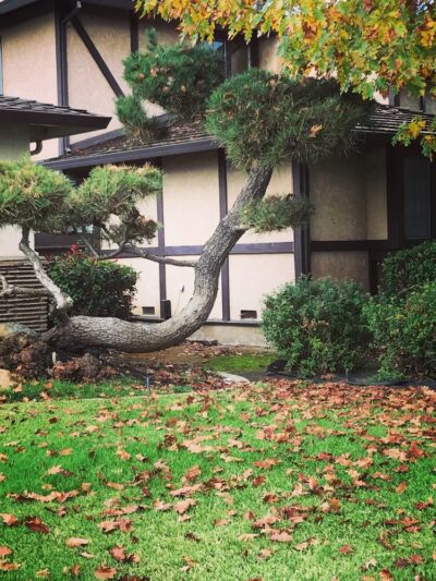 Frank Seymour Park - Sacramento, CA