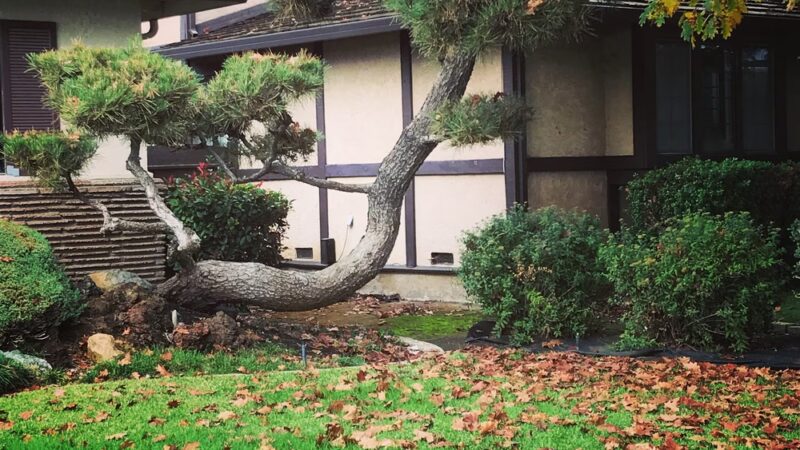 Frank Seymour Park - Sacramento, CA