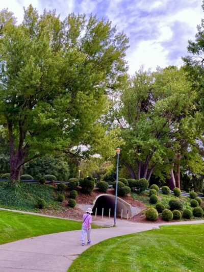 Frank Seymour Park - Sacramento, CA