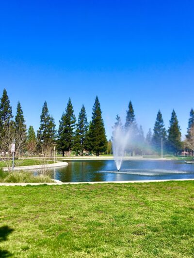 North Laguna Creek Park - Sacramento, CA