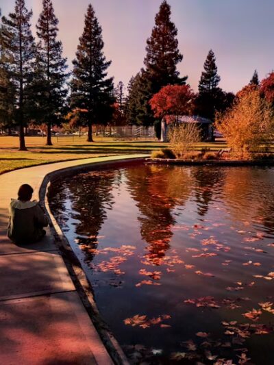 North Laguna Creek Park - Sacramento, CA