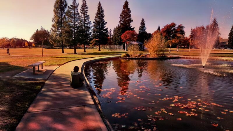 North Laguna Creek Park - Sacramento, CA