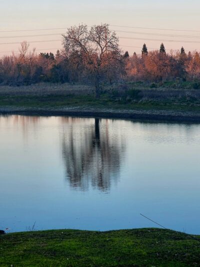 North Laguna Creek Park - Sacramento, CA