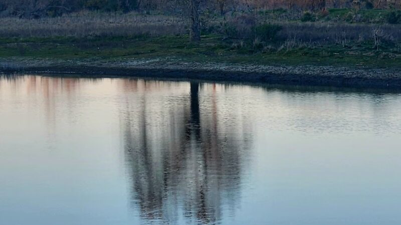 North Laguna Creek Park - Sacramento, CA