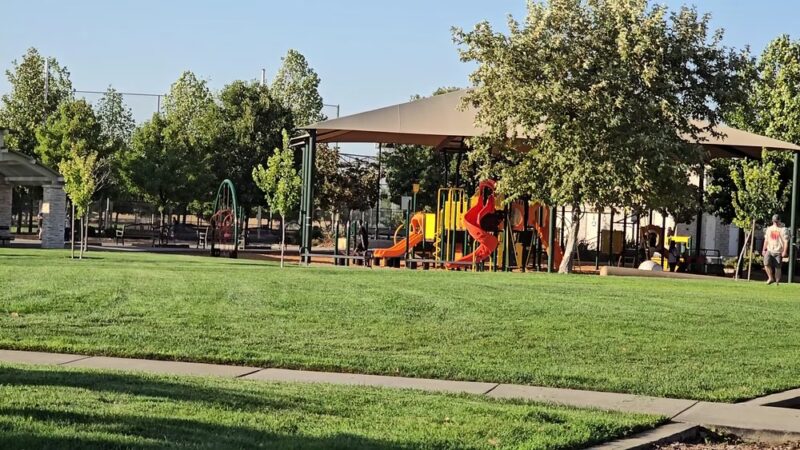 North Natomas Regional Park - Sacramento, CA