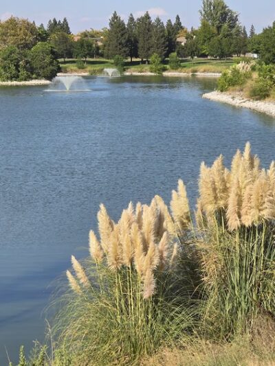 North Natomas Regional Park - Sacramento, CA