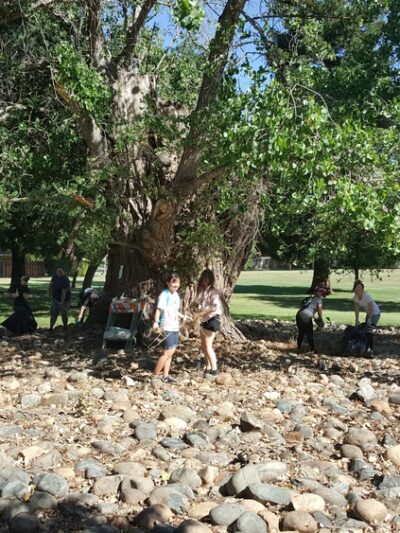 Reginald Renfree Park - Sacramento, CA