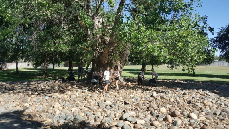 Reginald Renfree Park - Sacramento, CA