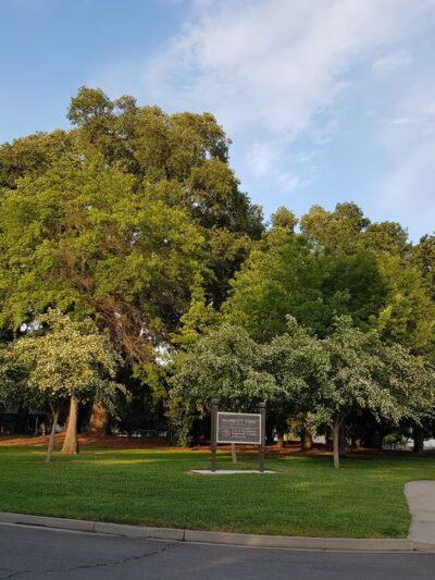 Richard Marriott Park - Sacramento, CA