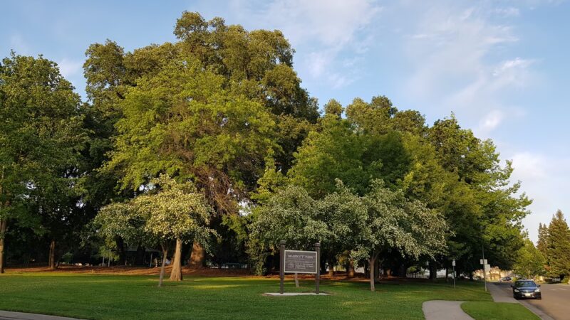 Richard Marriott Park - Sacramento, CA