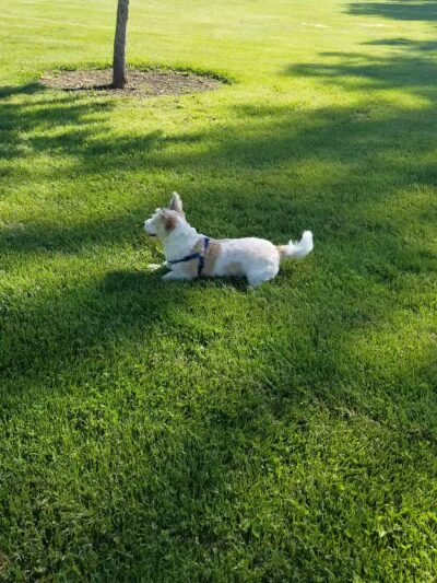 Rutter Park - Sacramento, CA