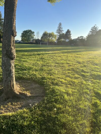 Rutter Park - Sacramento, CA