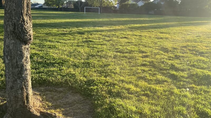 Rutter Park - Sacramento, CA