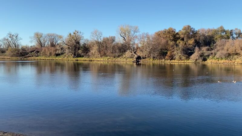 Sutter's Landing Regional Park - Sacramento, CA