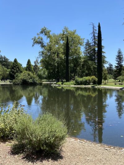 William Land Regional Park - Sacramento, CA