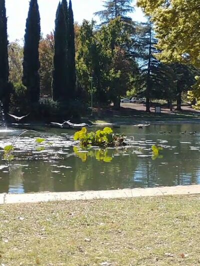 William Land Regional Park - Sacramento, CA