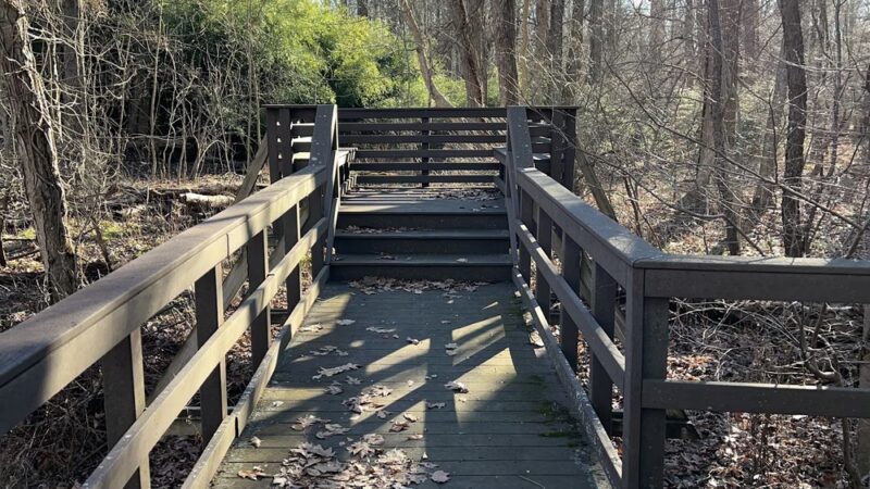 Rindlaub Park - Saddle River, NJ