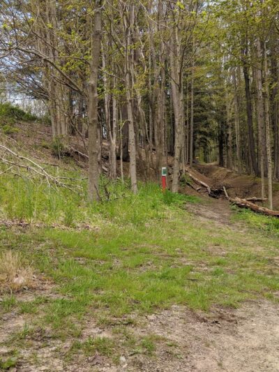 Woodcock Creek Disc Golf Course - Saegertown, PA