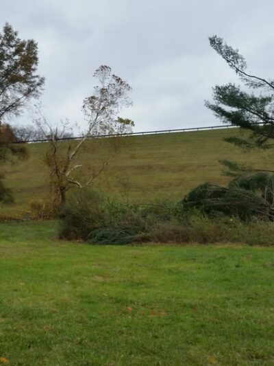 Woodcock Creek Disc Golf Course - Saegertown, PA