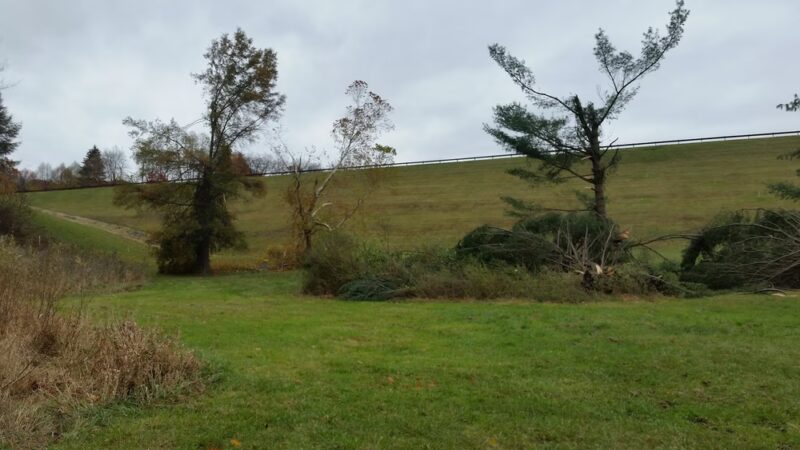 Woodcock Creek Disc Golf Course - Saegertown, PA