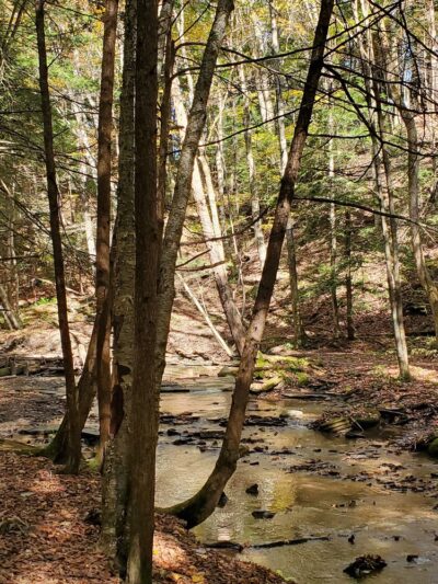 Woodcock Dam - Saegertown, PA