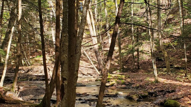 Woodcock Dam - Saegertown, PA