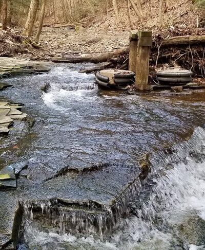 Woodcock Dam - Saegertown, PA