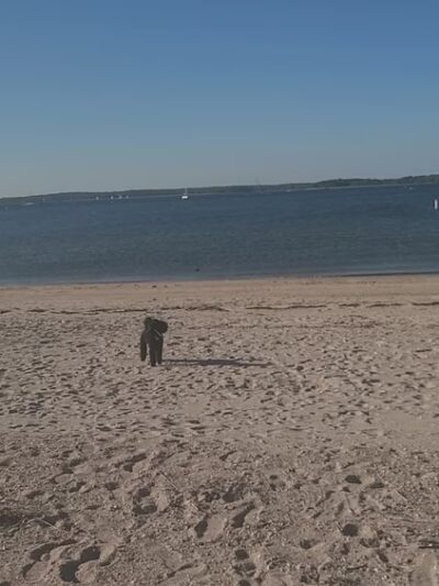 Havens Beach - Sag Harbor, NY