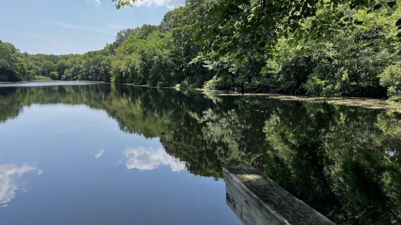 Trout Pond Park - Sag Harbor, NY