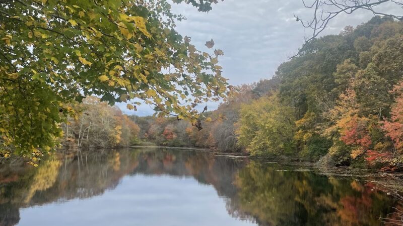 Trout Pond Park - Sag Harbor, NY
