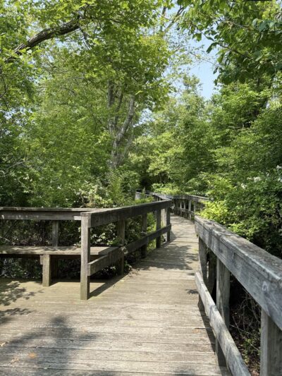 Trout Pond Park - Sag Harbor, NY