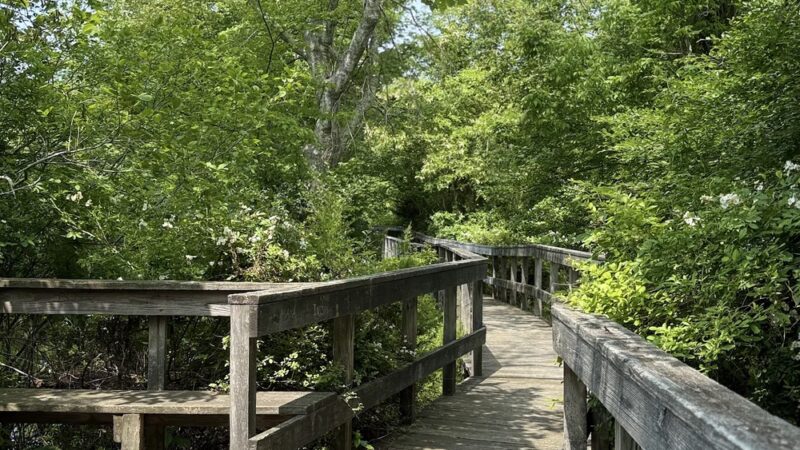 Trout Pond Park - Sag Harbor, NY